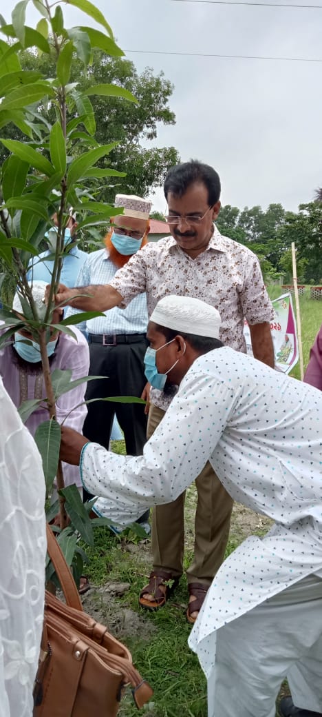 Tree Planing - Govt. Shamsur Rahman College