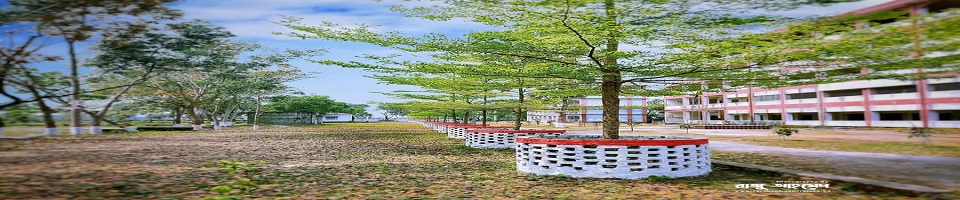 Govt. Shamsur Rahman College - Slide