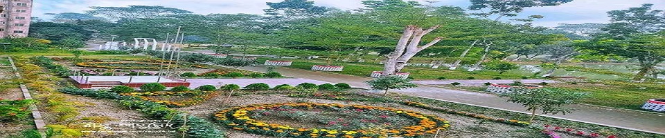 Govt. Shamsur Rahman College - Slide